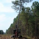 Tree Feller Equipment